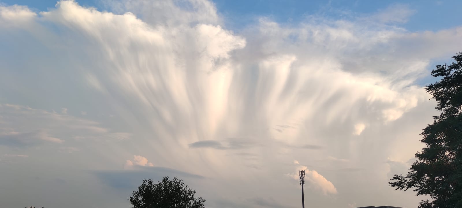 Controlli sugli enti del Terzo settore iscritti nel RUNTS - Disposizioni attuative