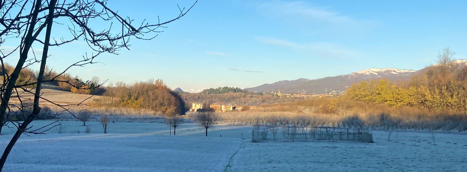 Riduzione dell’aliquota IRES dal 24%  al 20% per il periodo d’imposta 2025  (c.d. “IRES premiale”) -  Disposizioni attuative (DM 8.8.2025)